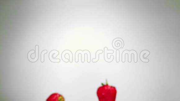 红色成熟的草莓在白色背景上缓慢地飞舞视频的预览图