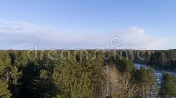 无人机鸟瞰飞过树木视频的预览图