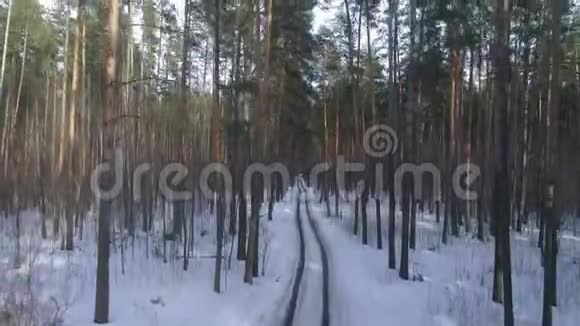 无人机鸟瞰飞过树木冬季视频的预览图