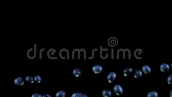 美味可口的蓝莓在黑色的背景上飞舞视频的预览图