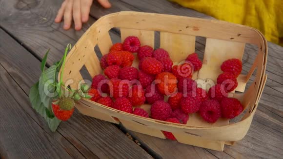 手从放在木桌上的篮子里拿出一个成熟多汁的红树莓视频的预览图