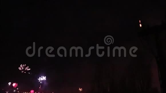 维也纳新年快乐视频的预览图