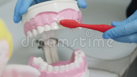 牙医教导病人刷牙视频的预览图