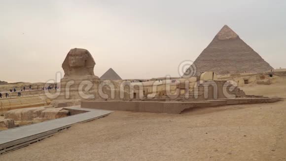 赫弗伦金字塔背景下的狮身人面像视频的预览图