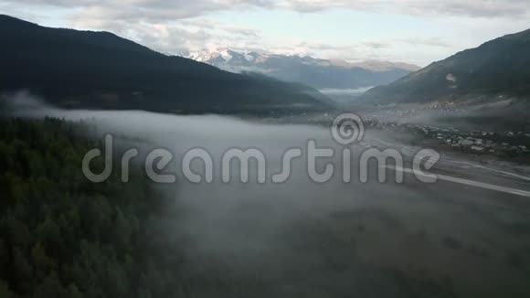 在雾中飞翔的无人机穿过树林视频的预览图