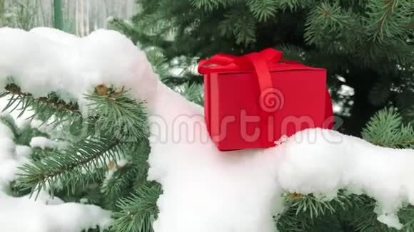 带礼物的红盒子放在一棵雪堆的云杉树的树枝上视频的预览图