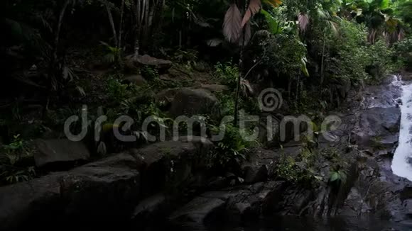 塞舌尔的瀑布马河岛棕榈树和河流全景视频的预览图
