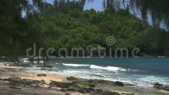 海浪花岗岩岩石和松树娇小的警察海滩马赫岛塞舌尔视频的预览图