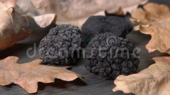 黑木面上一个罕见的黑松露蘑菇全景视频的预览图