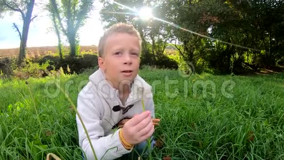 小男孩吹在蒲公英上视频的预览图