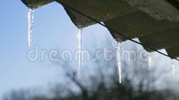 融化的冰柱和滴水在阳光下视频的预览图