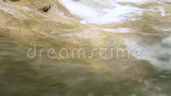 山林湍急的河水顺流而下特写镜头晴天视频的预览图