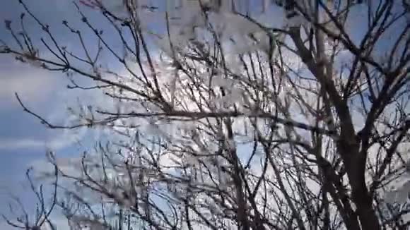 塑料垃圾垃圾塑料胶带随风飘动紧贴池塘附近的树枝乌克兰视频的预览图