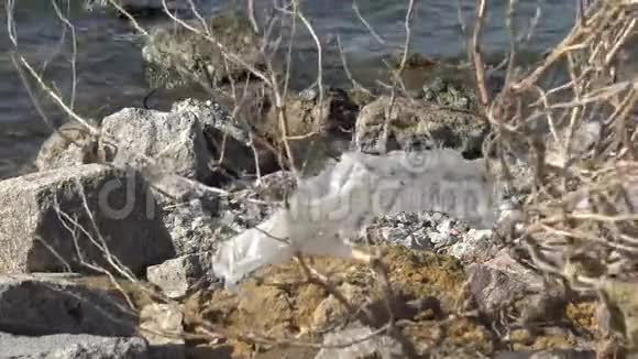 塑料垃圾生态的海洋分解聚乙烯垃圾漂浮在水中污染海洋杀死动物乌克兰视频的预览图