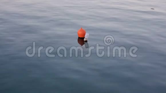 漂浮在海水表面的塑料瓶浮标肮脏的生态系统工业视频的预览图