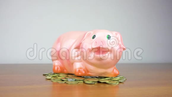 猪银行业务站在一堆硬币的概念上一只手把一枚硬币放在一个黄色的生活方式储蓄罐里视频的预览图