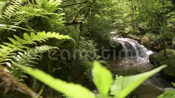 山林湍急的河水顺流而下特写镜头晴天视频的预览图