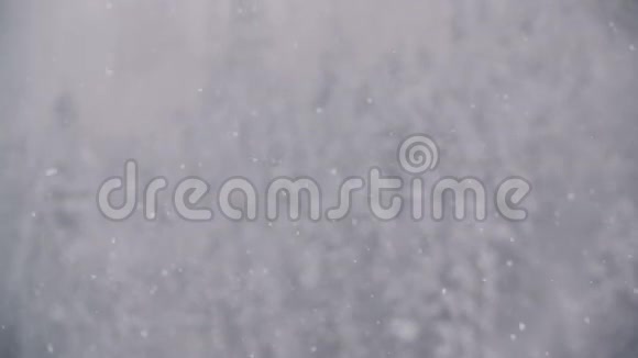 白雪覆盖着群山中的树木视频的预览图