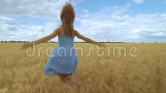 年轻无忧无虑的女人的后景她用手摸麦穗跑过田野享受着自由和自由视频的预览图