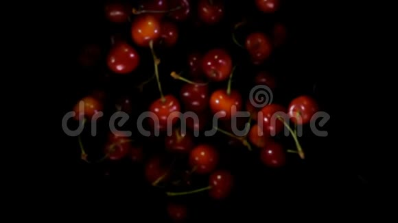 红樱桃在黑色背景上反弹视频的预览图