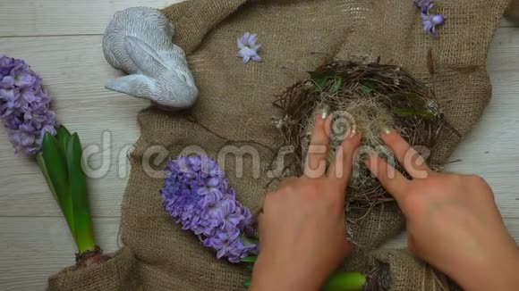 芙蓉茶染的复活节彩蛋放在花的巢里视频的预览图