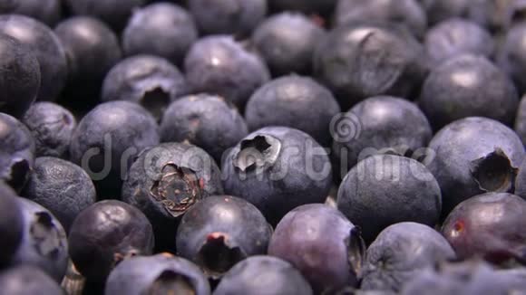 靠近成熟的蓝莓卷在浆果上视频的预览图