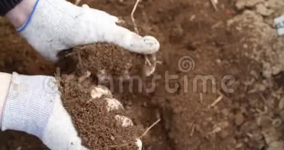 农民在农业中检查土壤视频的预览图