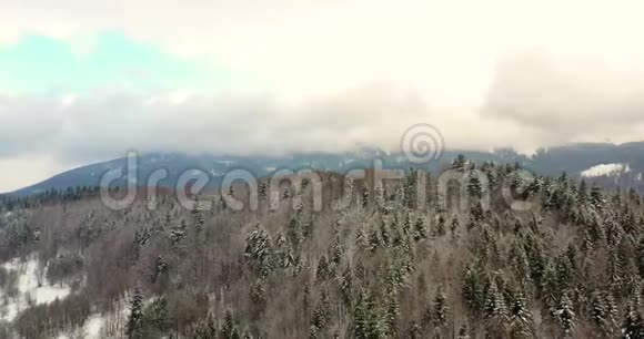 高山积雪覆盖的森林鸟瞰图视频的预览图