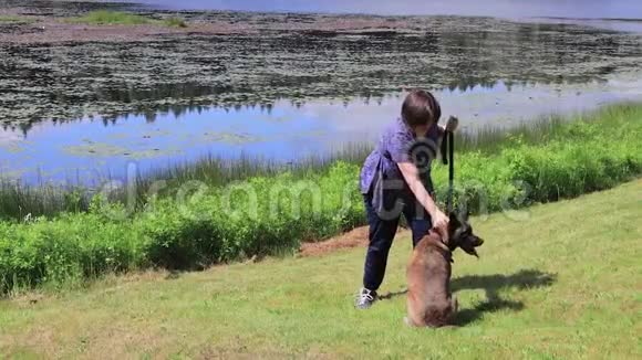 在公园训练狗视频的预览图