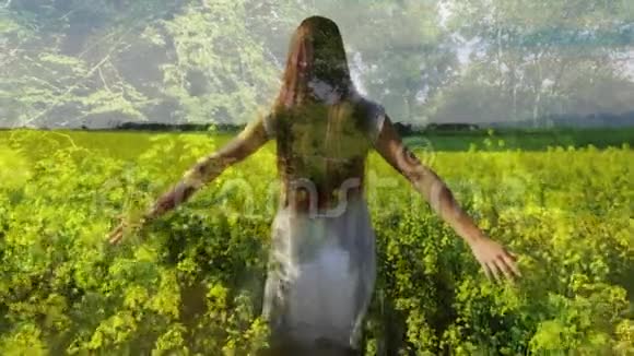 女人走在花丛里视频的预览图