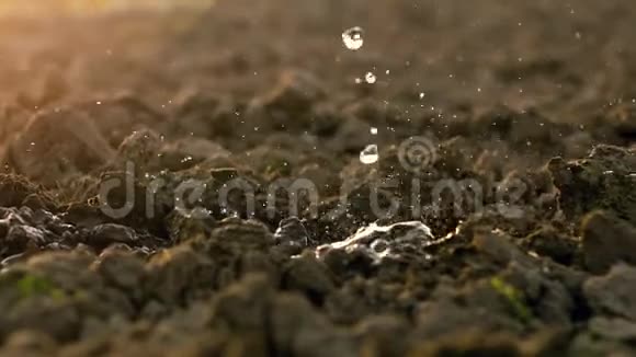 落在农田土壤上的水滴视频的预览图