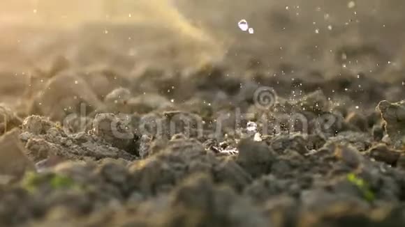 落在农田土壤上的水滴视频的预览图