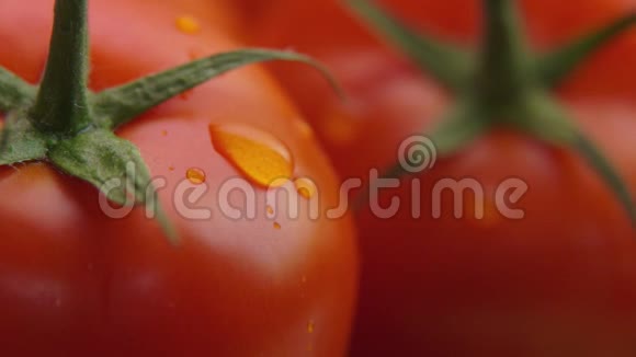 水滴顺着成熟的红色多汁番茄的表面流下来视频的预览图