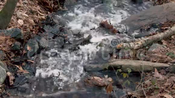 佐治亚州查塔霍切河公园6K水在一条小溪中流入河中视频的预览图