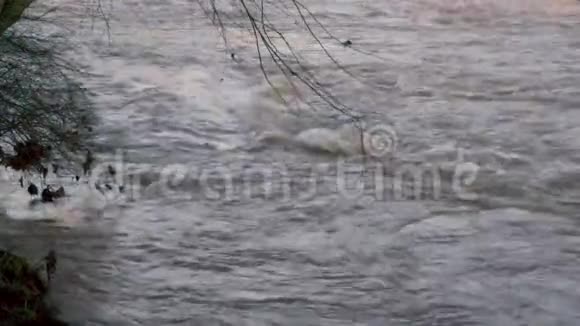 格鲁吉亚查塔霍切河公园6K水在查塔霍切河中流动视频的预览图