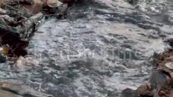 佐治亚州查塔霍切河公园6K沿着一条小溪的水流入查塔霍切河视频的预览图
