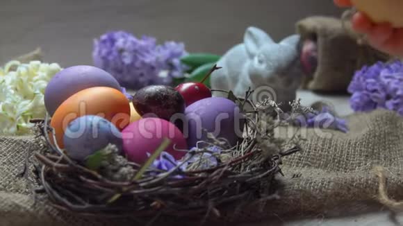 手把一个复活节彩蛋放在春天花朵背景下的巢里视频的预览图