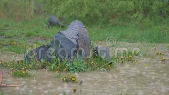 雨中的玄武岩柱子视频的预览图