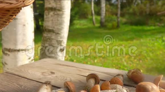 一篮子新鲜采摘的蘑菇放在户外的木桌上视频的预览图