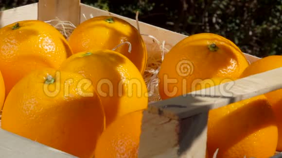 女人的手从木箱里取出成熟多汁的橘子视频的预览图