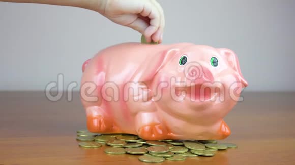 小猪银行生意一只儿童手把一枚硬币放在一个黄色背景的生活方式储蓄罐里省钱视频的预览图