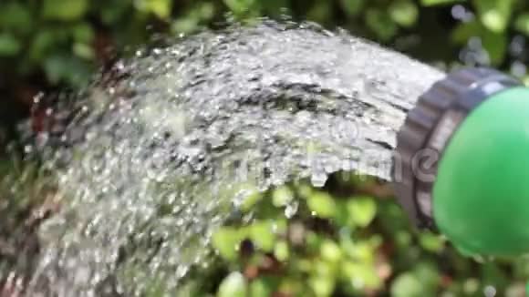 慢动作浇水可以给植物喷水视频的预览图