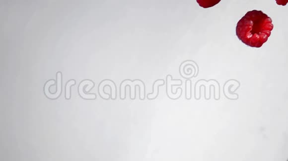 红色多汁的覆盆子落在白色背景上视频的预览图