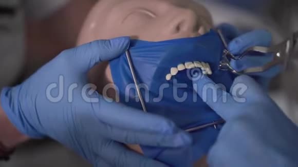 极端近距离的手在保护手套安装围堰上的牙科人体模型口腔专业学生视频的预览图