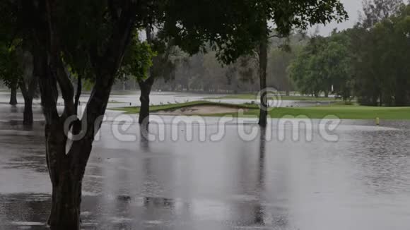 澳大利亚黄金海岸高尔夫球场洪水受损视频的预览图