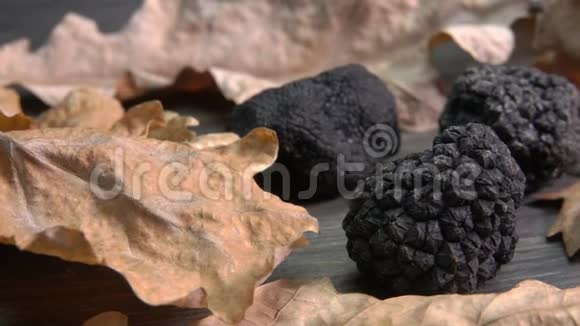从木质表面提取的黑松露蘑菇全景视频的预览图