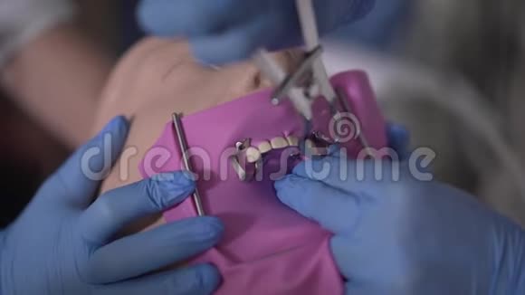 在蓝色防护手套中特写双手将围堰固定在牙科人体模型上牙科学生或口腔科医生视频的预览图