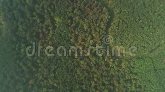 用旋转相机在美丽的秋天彩色森林上进行无人机飞行视频的预览图