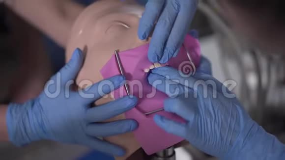 女性白种人双手戴蓝色手套在牙科人体模型上安装粉红色围堰无法辨认牙医的特写视频的预览图