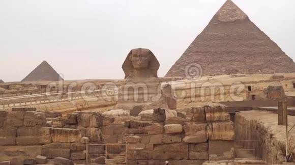 以金字塔为背景的吉萨河西岸的狮身人面像视频的预览图